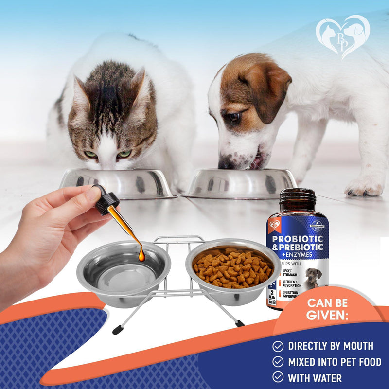Liquid probiotic and prebiotic supplement bottle with dropper over pet water bowl
