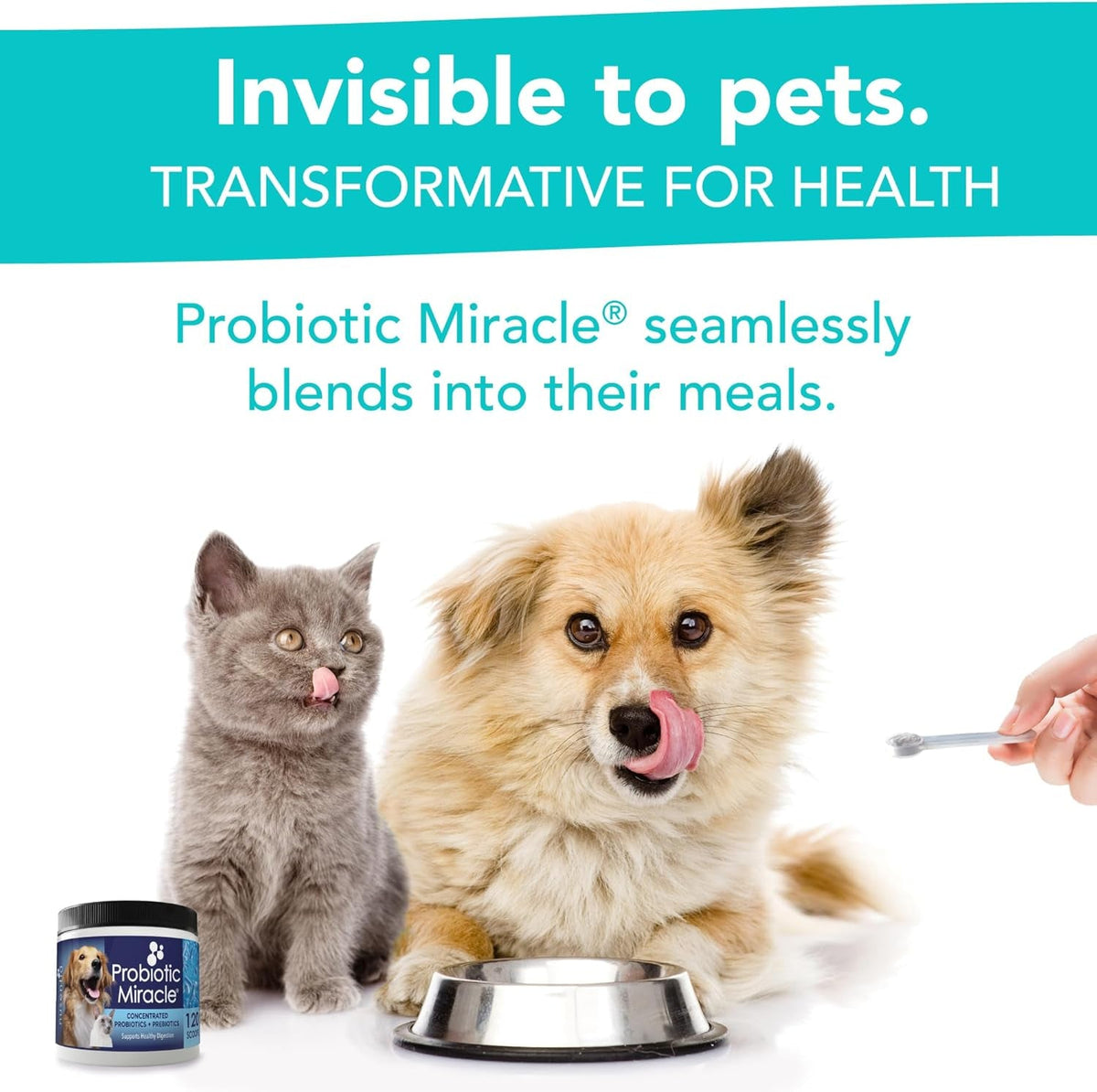 Probiotic powder blends invisibly into pet food, dog and cat eating from bowls