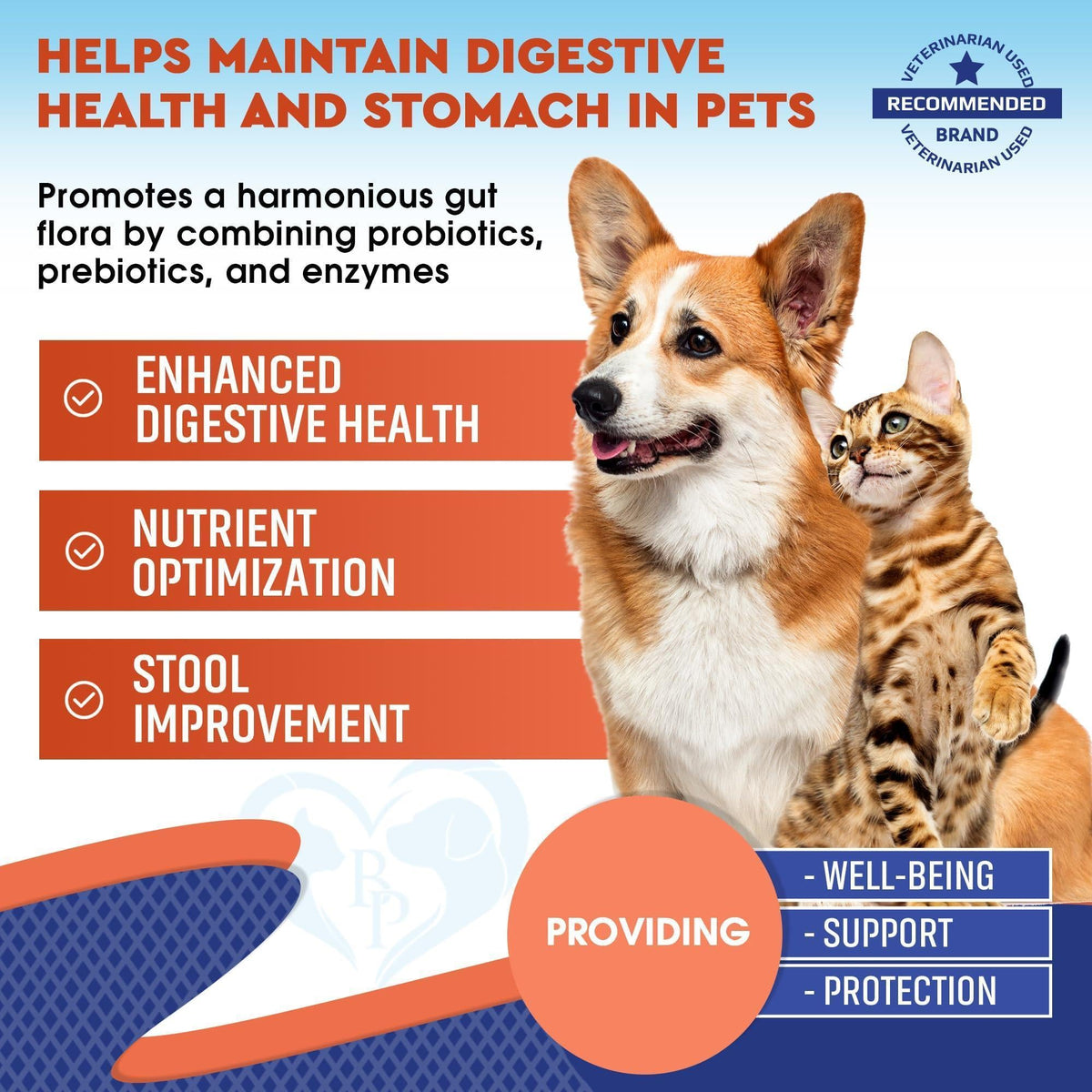 Corgi and cat beside digestive health benefits of the liquid probiotic supplement for pets