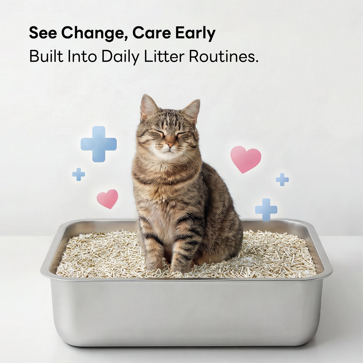 Tabby cat in a litter box with floating care icons: see change, care early with health monitoring litter
