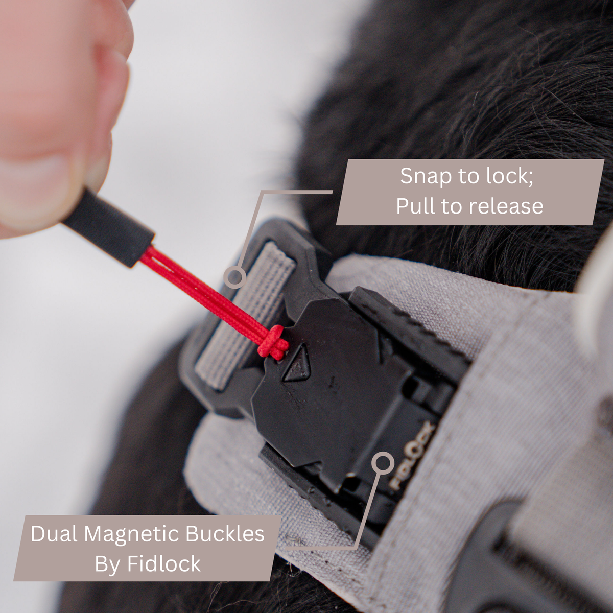 Fidlock magnetic buckle close-up: snap to lock, pull to release on the dog harness