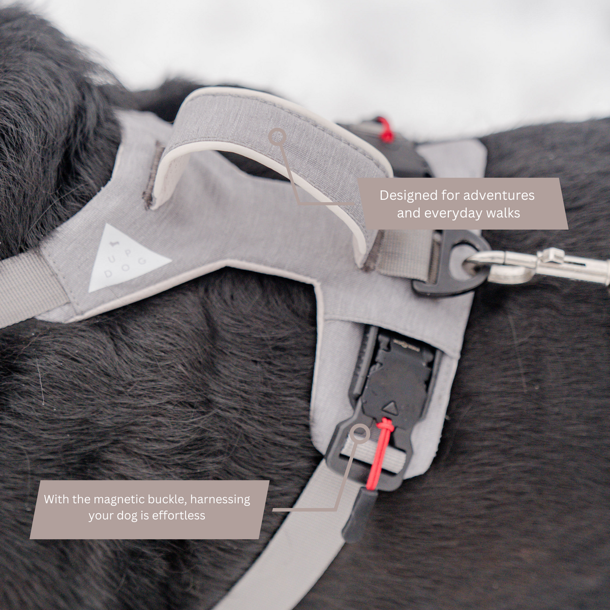 Grey magnetic dog harness on a black dog showing top handle and quick-release buckle