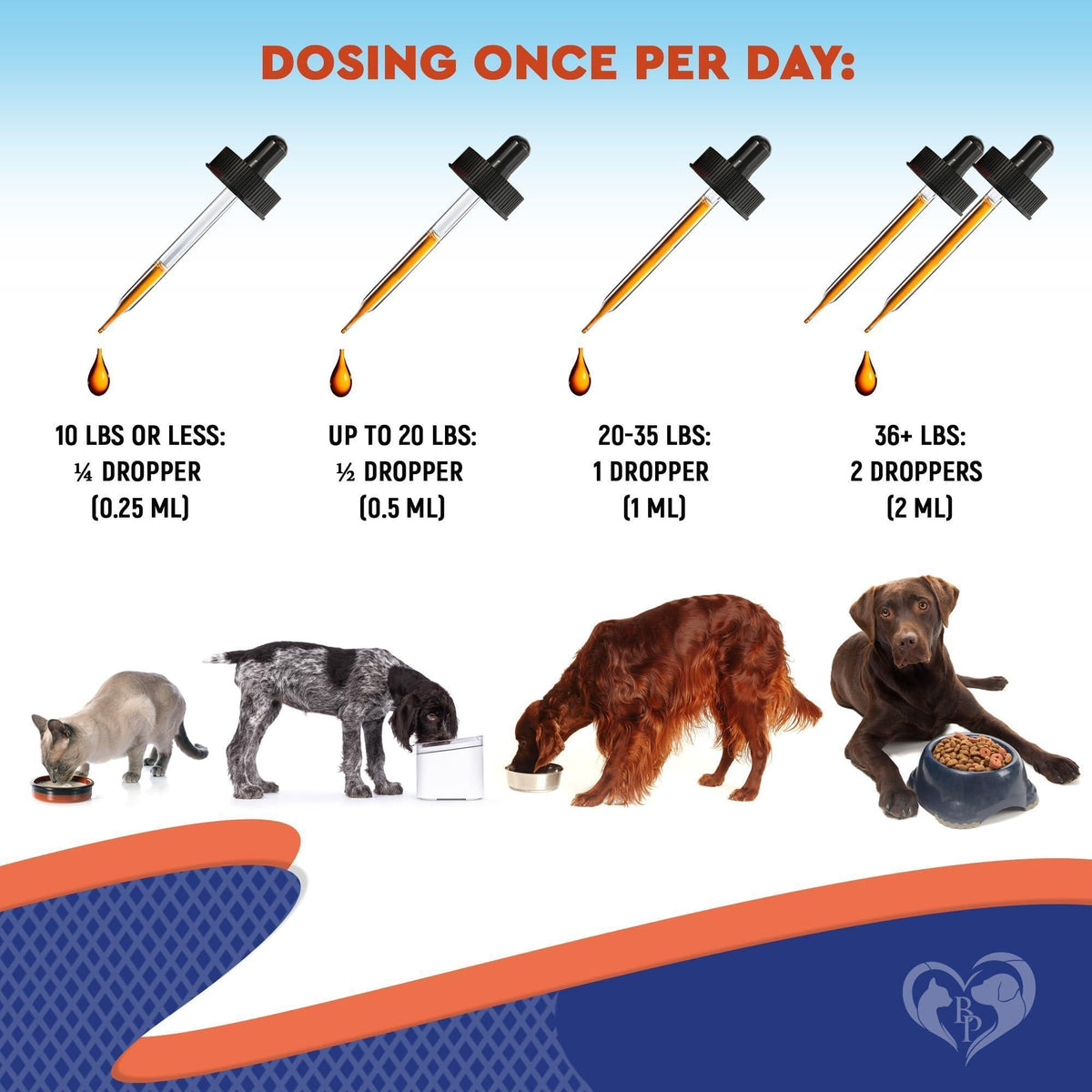 Daily dosing chart for liquid pet probiotics by weight, from cats under 10 lbs to large dogs