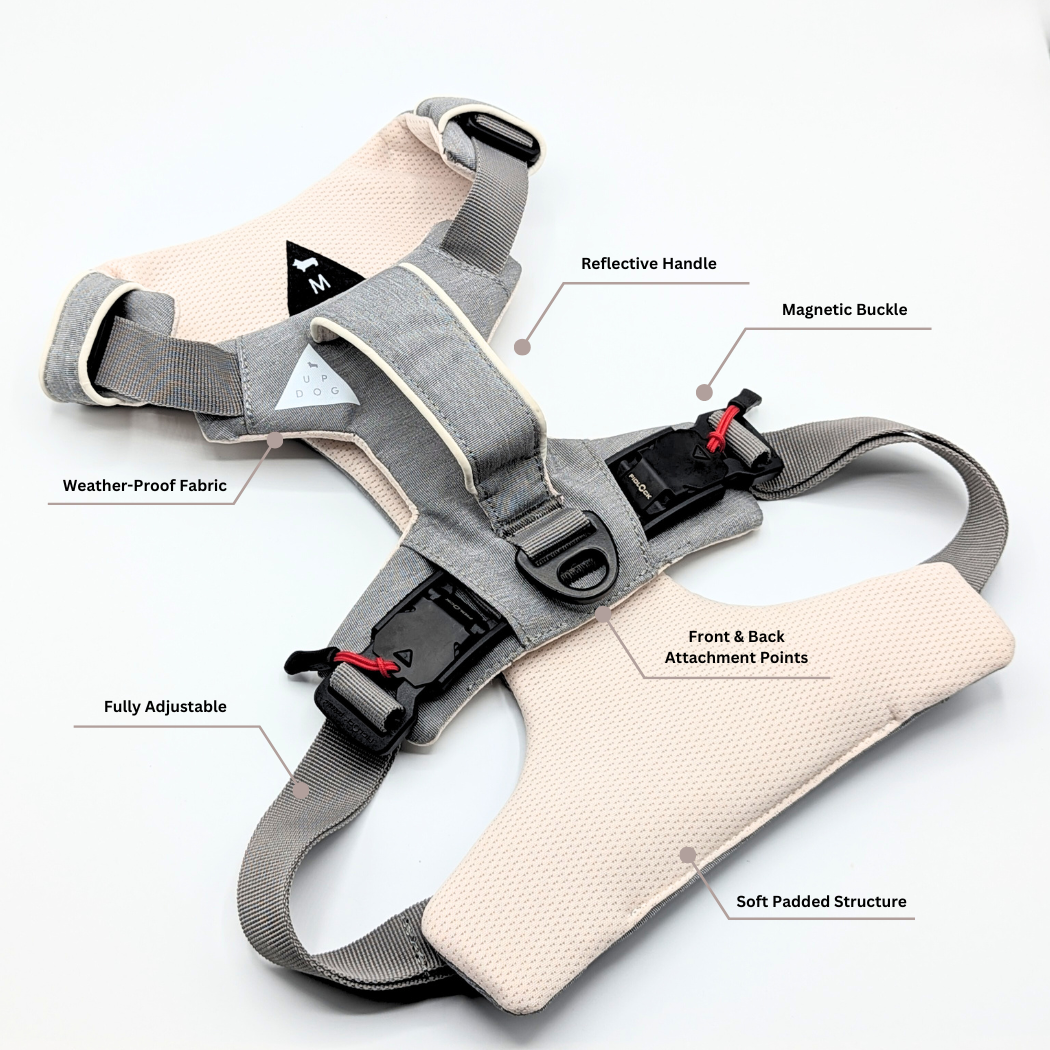 Feature callouts on the magnetic dog harness: handle, buckles, and leash attachment