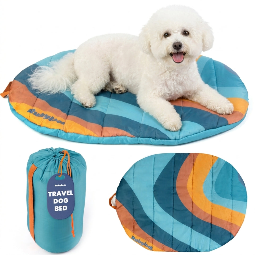 Small teal foldable dog travel bed from The Road Trip Kit bundle