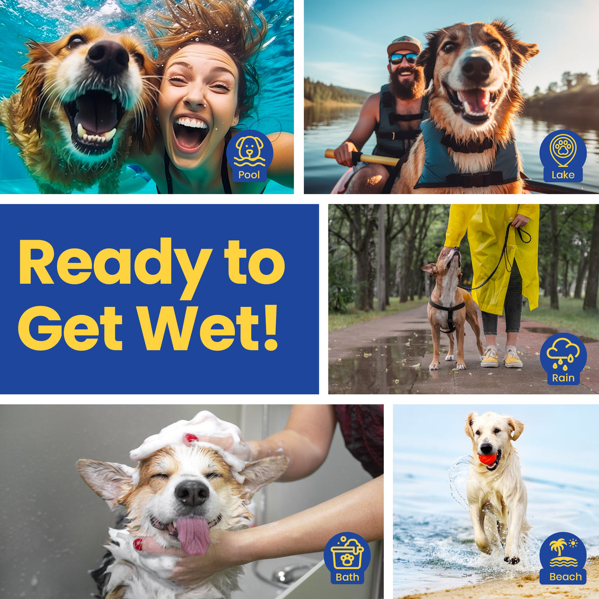Ready to get wet: dogs at the pool, lake, beach, in rain and baths, dried with the dog shammy towel