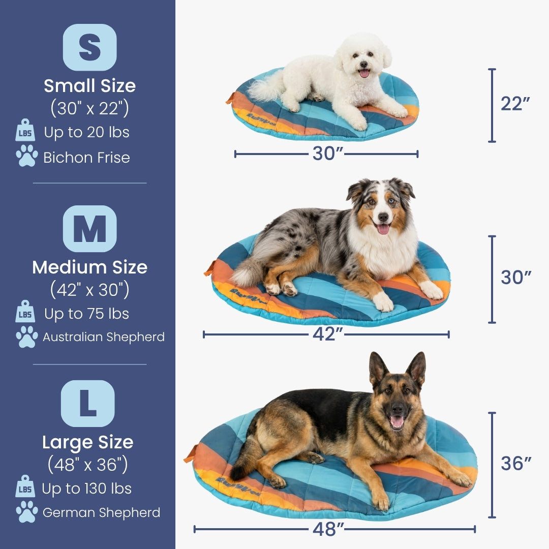 Size chart for the foldable dog travel bed: small, medium, and large dimensions