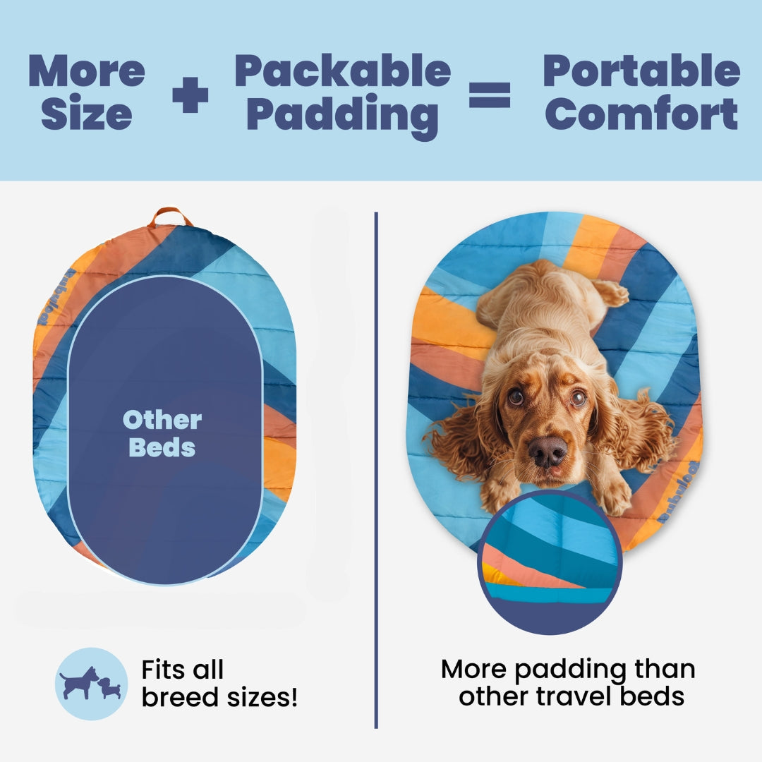 Foldable dog travel bed size and padding comparison with other travel beds, spaniel lying on the striped mat