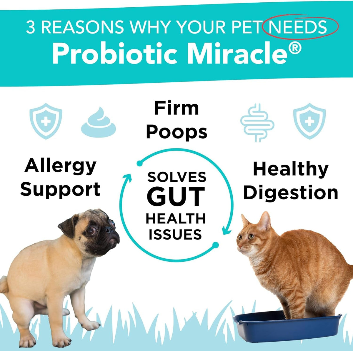 3 reasons pets need Probiotic Miracle: firm poops, healthy digestion, and allergy support