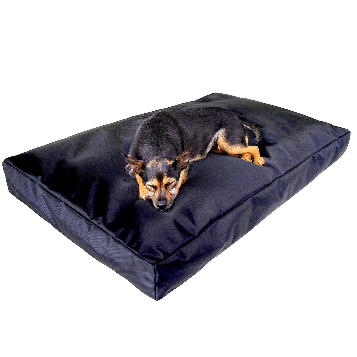 Black Rectangle Armor dog bed with a dog lying on the chew-resistant orthopedic mattress