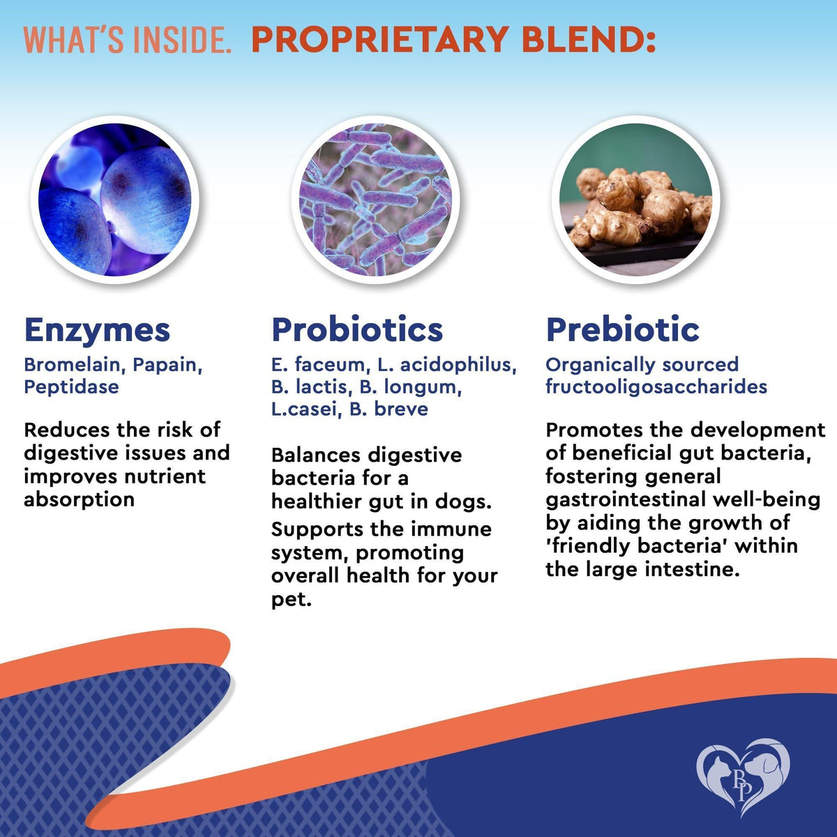 What's inside the pet probiotic blend: enzymes, probiotic strains, and prebiotic fructooligosaccharides